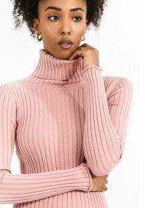 Molly Bracken L/S Turtleneck Sweater Pink