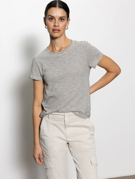 Sanctuary The Perfect Tee, Pumice Stone/Black Stripe