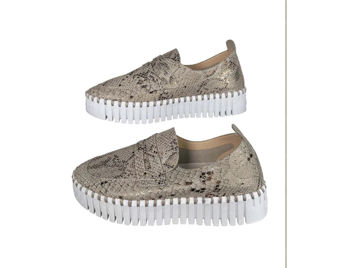 Ilse Jacobsen Tulip Platform Wheat